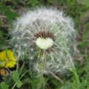 봉남리 삼층석탑 이미지