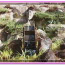 대연혁신리더어린이집 이미지