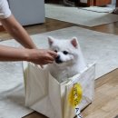 홍이네농장 | 생거진천 당일치기여행_미래농업복합문화공간 뤁스퀘어 최신 후기