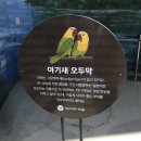 잉꼬하우스 | [대구] 대구데이트코스로 좋은 <대구아쿠아리움> 방문 후기