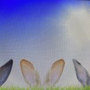 에스아산이비인후과의원 이미지