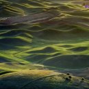 준고시텔
