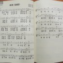 금잔듸