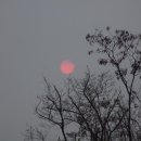 서해안로 이미지