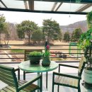 아이드림펫 이미지