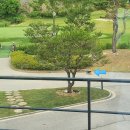 봉화로2R | [2024.06.16] 인생 첫 라운딩 ! 2인 노캐디 12홀 경기도 포천 포레스트힐 CC 후기