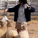 풍성한목장 이미지