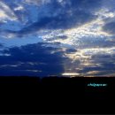 대별농장 이미지