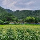 송원농장 이미지