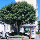 신효마을회관 이미지