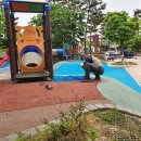 숲안어린이공원 이미지