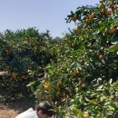 도순농장 이미지