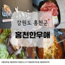 홍천한우 | 홍천 한우 제대로 즐기고 왔어요! ‘홍천한우애’ 방문 후기