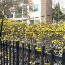 숲속작은민박 | 성수동 카페 도토리 오븐, 성수동 속 작은 숲속 카페 후기