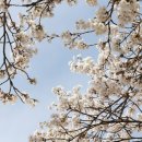 성대2리 이미지