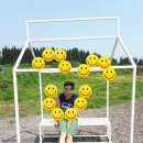 태양목장2 이미지