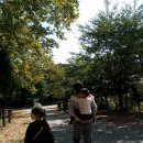 불빛목장 이미지