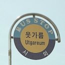 먼나머루 이미지