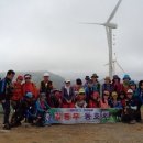 영해목장 이미지