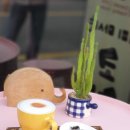 커피 마시는 코끼리 이미지