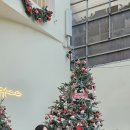 알래스카 " 베트남 다낭 여행 중 만난 크리스마스 이벤트 이미지