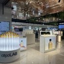 현대무역 이미지