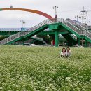 광양읍 광양여자고등학교 이미지