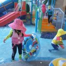 화순금호리조트푸드코트 이미지