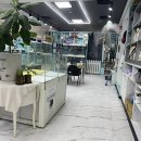 리얼독스 강아지분양 일산본점 이미지