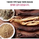 6년근홍삼