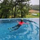 웰빙빌리지 | [내돈내산]태안 수영장 신축숙소 캐시미르 호텔 &amp; 현지인 맛집 여행코스 후기 (1박2일)