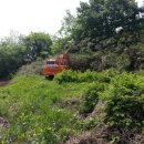 청화농장 이미지