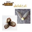 베타봉봉 이미지