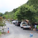 백년펜션 야영장 이미지