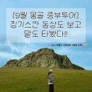 거북공원-2　 | [몽골 여행기. 5화] 징기스칸동상과 거북바위 (feat.기념품쇼핑)