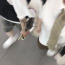 해와별 이미지