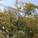 성덕우체국 이미지