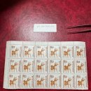 우정진도개 이미지