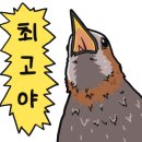 설호사 네이버블로그