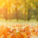 수성마디정형외과의원 이미지