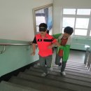 금곡초 이미지
