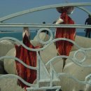 안녕동해야 이미지