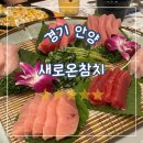 새로온참치 | 경기 안양, 명학역 참치 맛집 새로온참치 ‘로’ 코스 솔직후기 🍣 숙성 참치의 진수