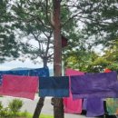 잣향기푸른마을 이미지