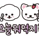 미음펫푸드 이미지