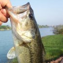 수문마을회관 이미지