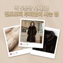 뉴하나세탁소 | 4060 진도모피 솔직 후기 가격대별 종류와 엘페, 대표 모피 명가 우바 차이점 총정리