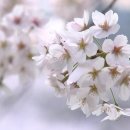 호야 휘트니스 이미지