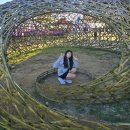 별따라꽃따라 | 거창 감악산꽃별여행_보랏빛 아스타국화로 물든 감악산별바람언덕(ft. 주말방문 후기)