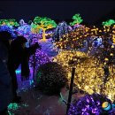 빛의 정원 - 20 이미지